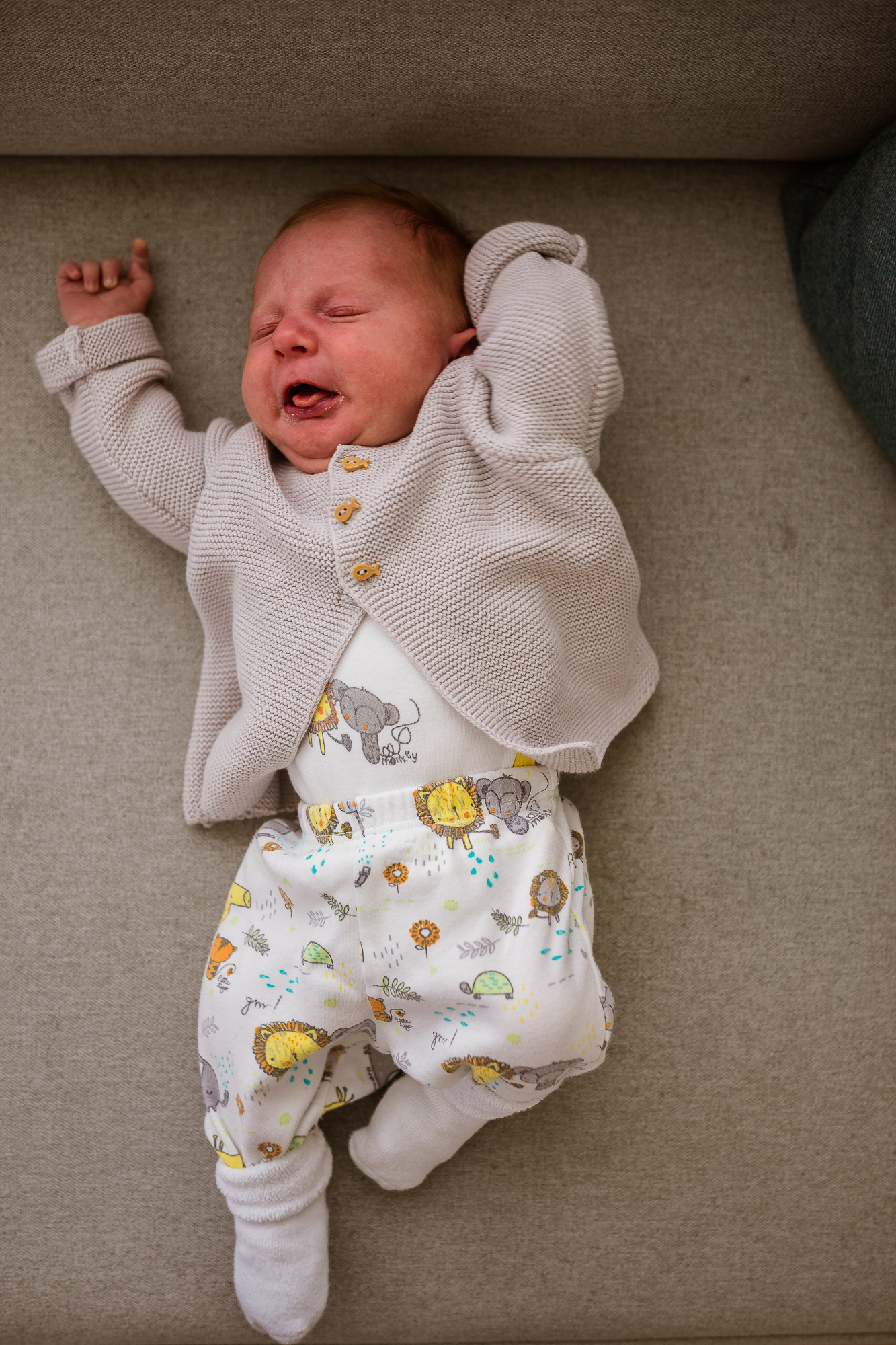 Export x3 5D4 6801 Familienfotoshooting 2019 Hefti